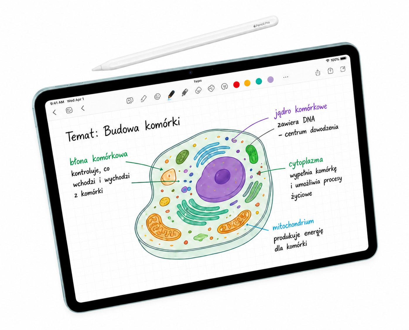 Lewitujący niebieski iPad z rysikiem i notatką z lekcji biologii
